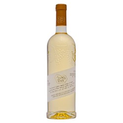 Dogmatikos Xinomavro